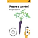 Makkelijke Moestuin Paarse Wortel