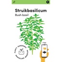 Makkelijke Moestuin Basilicum Bascuro, Donkergroene