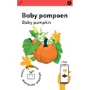 Makkelijke Moestuin Pompoen Baby Bear