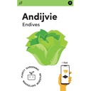 Makkelijke Moestuin Andijvie Breedblad Volhart Winter