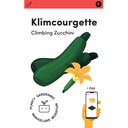 Makkelijke Moestuin Klim Courgette Black Forest F1