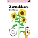 Makkelijke Moestuin Helianthus, Zonnebloem Henri Wilde