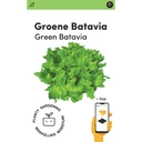 Makkelijke Moestuin Groene Pluksla Batavia Caravel