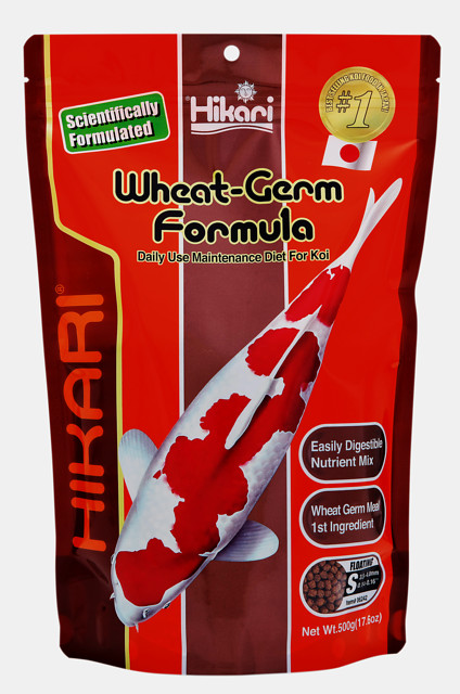 HIKARI WHEAT-GERM MINI 500 GRAM