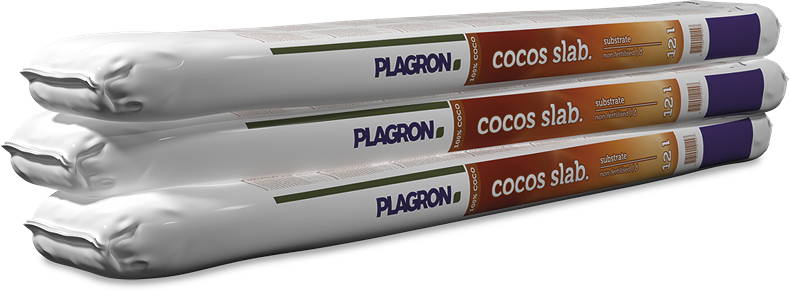 Plagron coco-slab 1m
