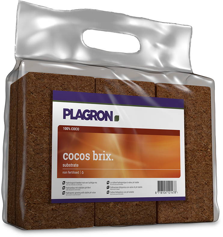 Plagron cocos brix (6st)