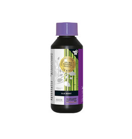 [905970] Atami Silic boost 250ml