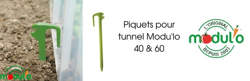 [PV000280] Set van 10 prikkers voor tunnel