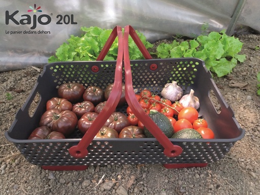 [PV020925] Mand KAJO 20L GRIJS/rood