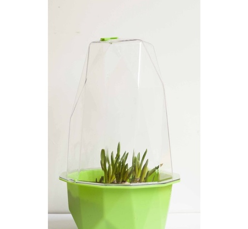 [RetailTrust_4807] Xala Biosphere S Groen