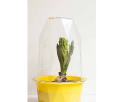 [RetailTrust_4808] Xala biosphere S geel