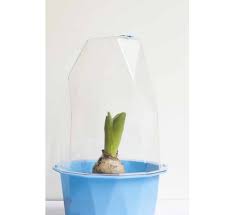 [RetailTrust_4809] Xala biosphere S blauw