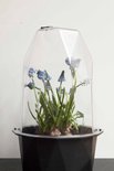 [RetailTrust_4811] Xala biosphere S zwart