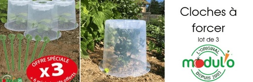 [PV003240] Set 3 Plantklok Modul'o 35 + 6 prikkers