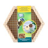 [889137] Buzzy Home Hexagon Feeder