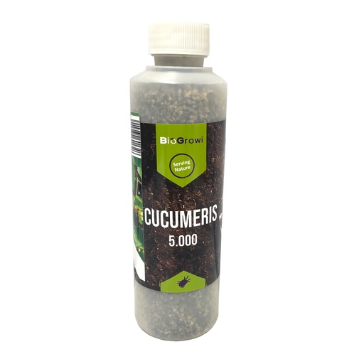 [60134] Biogroei Neoseiulus cucumeris / CUCU-MITE 5000 roofmijt