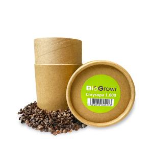 [60023] Biogroei Chrysopa-1000 tegen wolluis en (beuken)bl