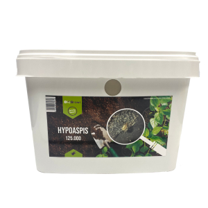 [60035] Biogroei Hypoaspis / HYPO-MITE 125.000 st
