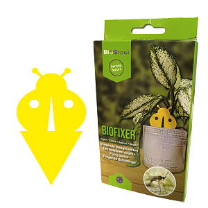 [60189] Biogroei BIOFIXER/ FIXSUM - Decoratieve gele vangplaten ro