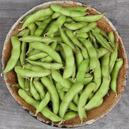 [1340] De Bolster Sojaboon Edamame ‘Chiba Green’