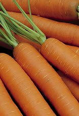 [123.05] De Zaderij Wortel Amsterdamse Bak 2 - Amfine