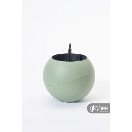 [883335] Globee in box Olive
