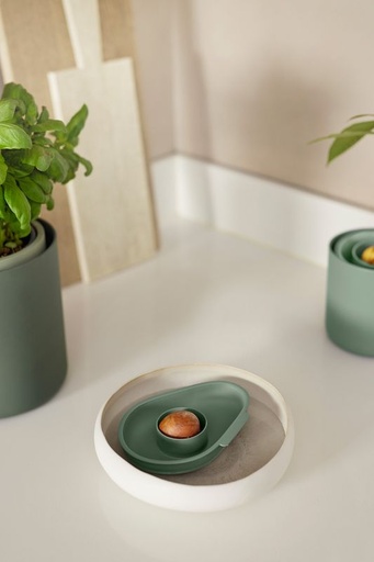 [2671962-001] Elho Amazing avocado floater blad groen