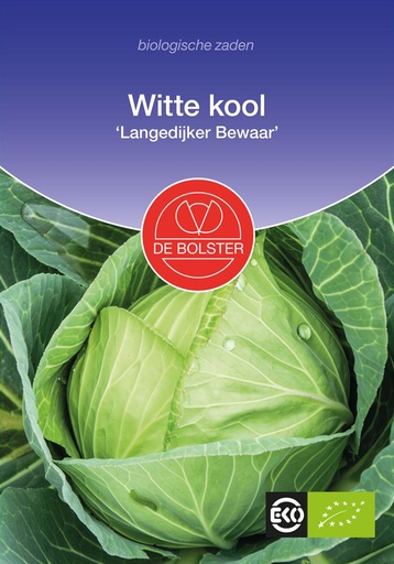 [1560] De Bolster Witte kool 'Langedijker Bewaar'