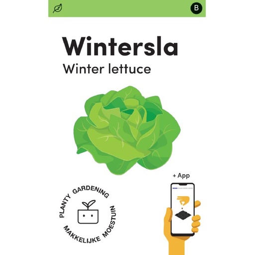 [MM0229] Makkelijke Moestuin Kropsla Merveille d'hiver