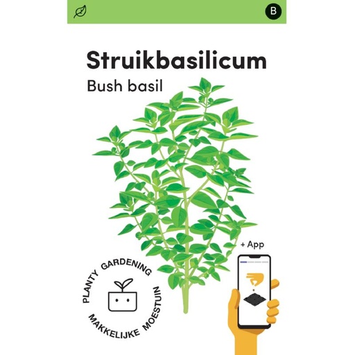 [MM0223] Makkelijke Moestuin Basilicum Bascuro, Donkergroene