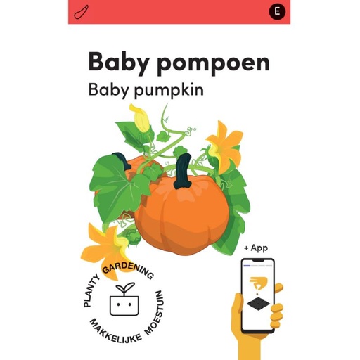 [MM0251] Makkelijke Moestuin Pompoen Baby Bear