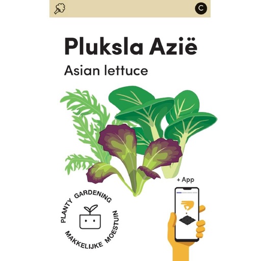 [MM0240] Makkelijke Moestuin Pluksla Baby Leaf