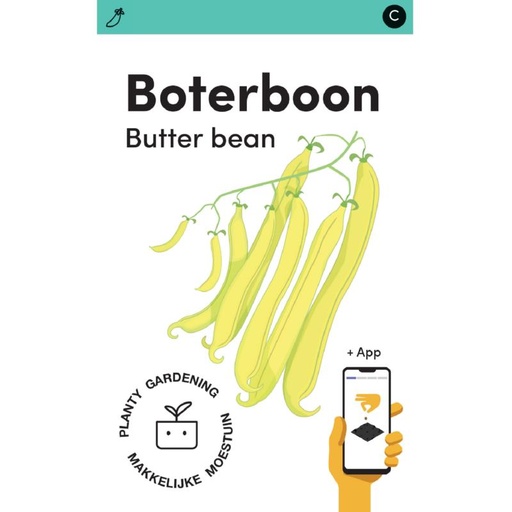 [MM0238] Makkelijke Moestuin Stamslaboon Minidor, boterboontje