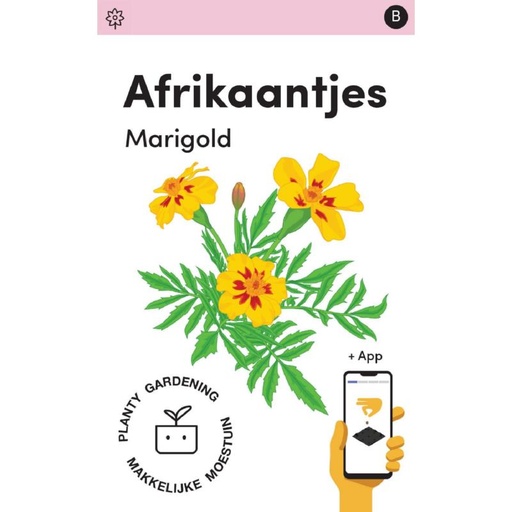 [MM0262] Makkelijke Moestuin Tagetes Naugty Marietta/ Afrikaantjes