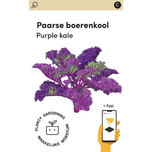 [MM0281] Makkelijke Moestuin Paarse Boerenkool Scarlet