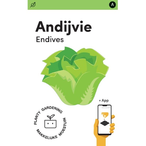[MM0230] Makkelijke Moestuin Andijvie Breedblad Volhart Winter