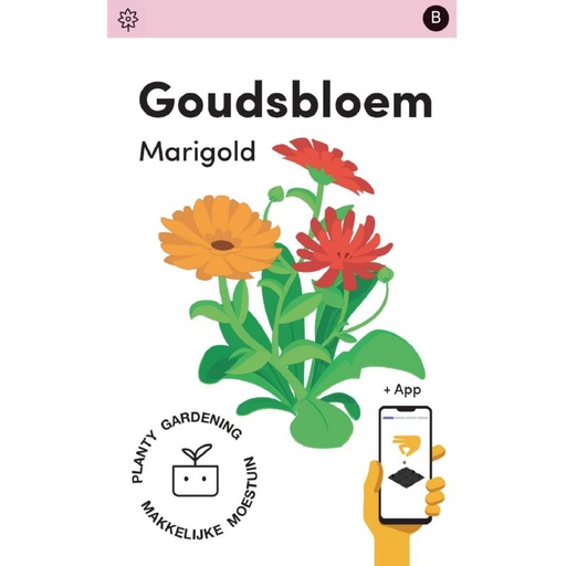 [MM0248] Makkelijke Moestuin Calendula, Goudsbloem Pacific Beauty