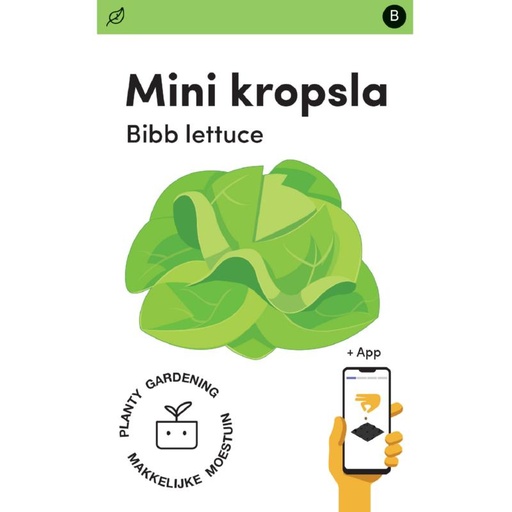 [MM0226] Makkelijke Moestuin Mini Sla Gotte Jaune d'Or