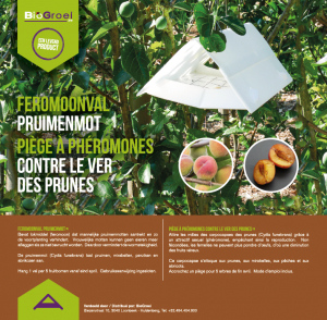 [60088] Rootsum Deltaval Pruimenmot | Incl 2 feromonen (Cydia funebrana)