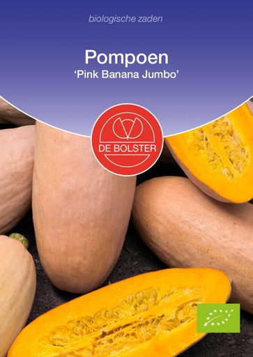 [1671] De Bolster Pompoen 'Pink Banana Jumbo'